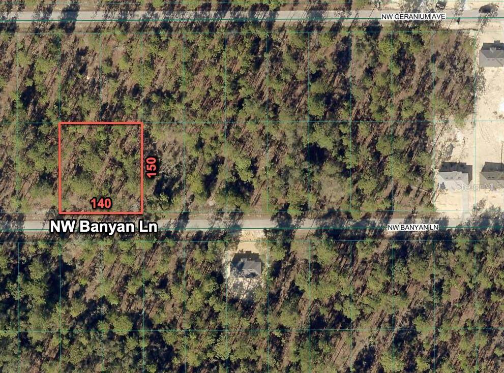24309 Banyan Lane - Photo 1