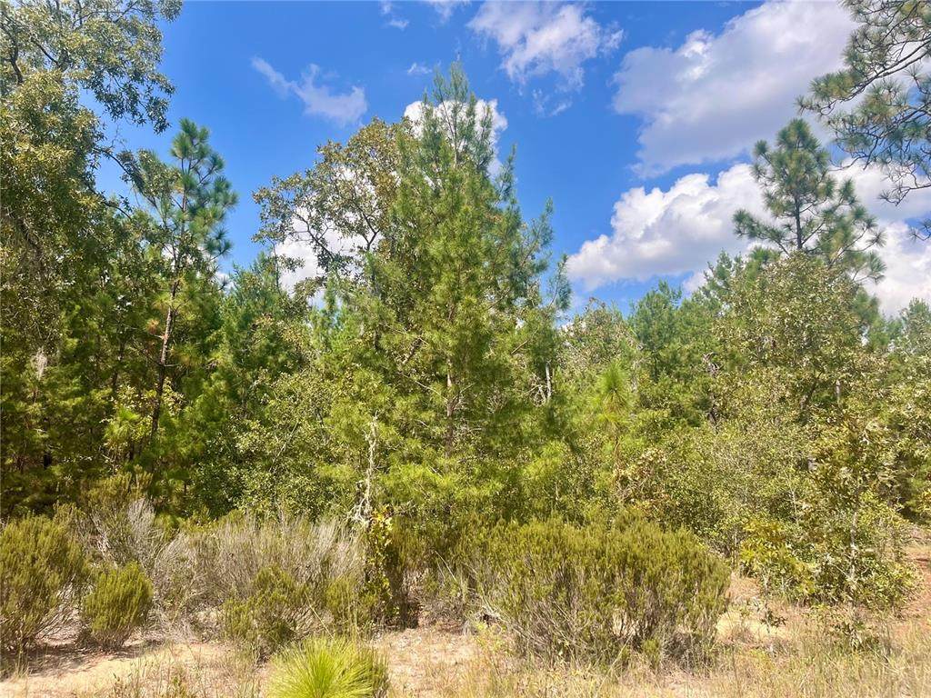 204 Glasgow Street - Photo 1