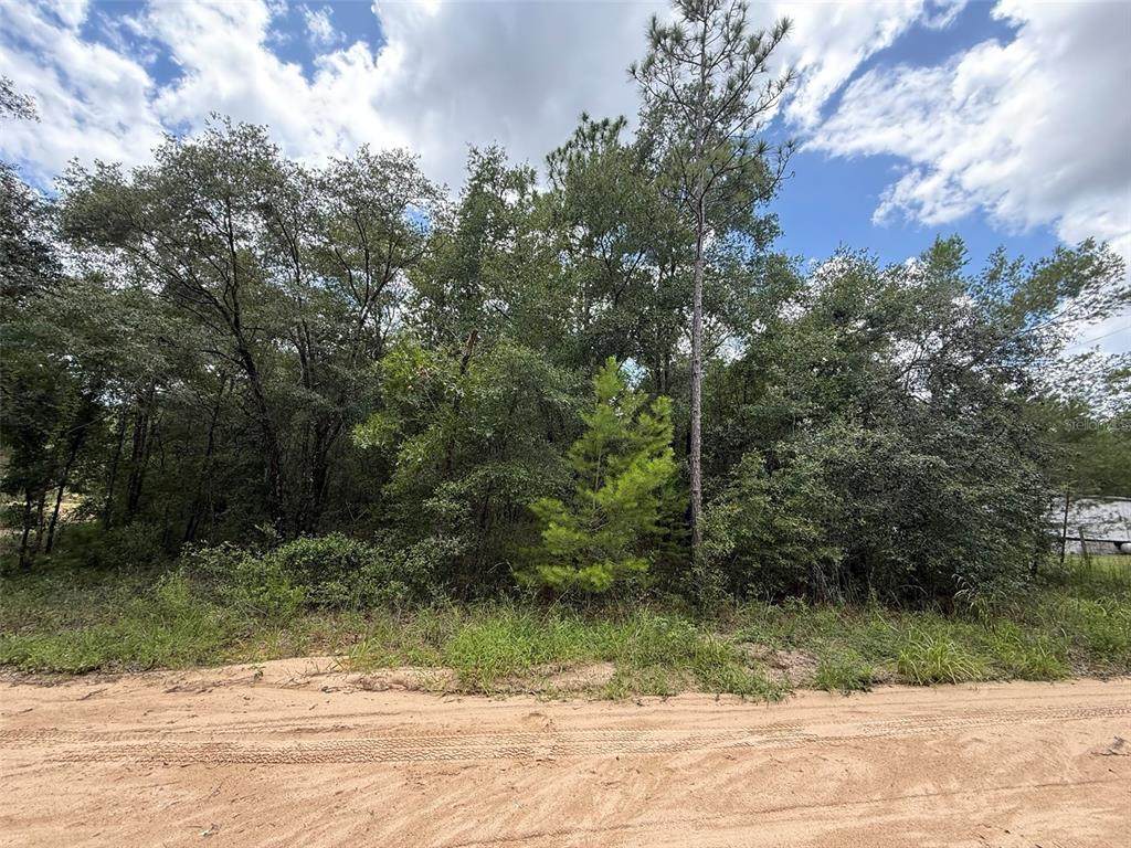 138 8TH AVE - Photo 1