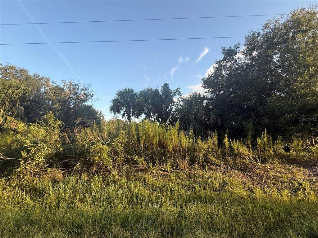19426 270TH Street - Photo 1