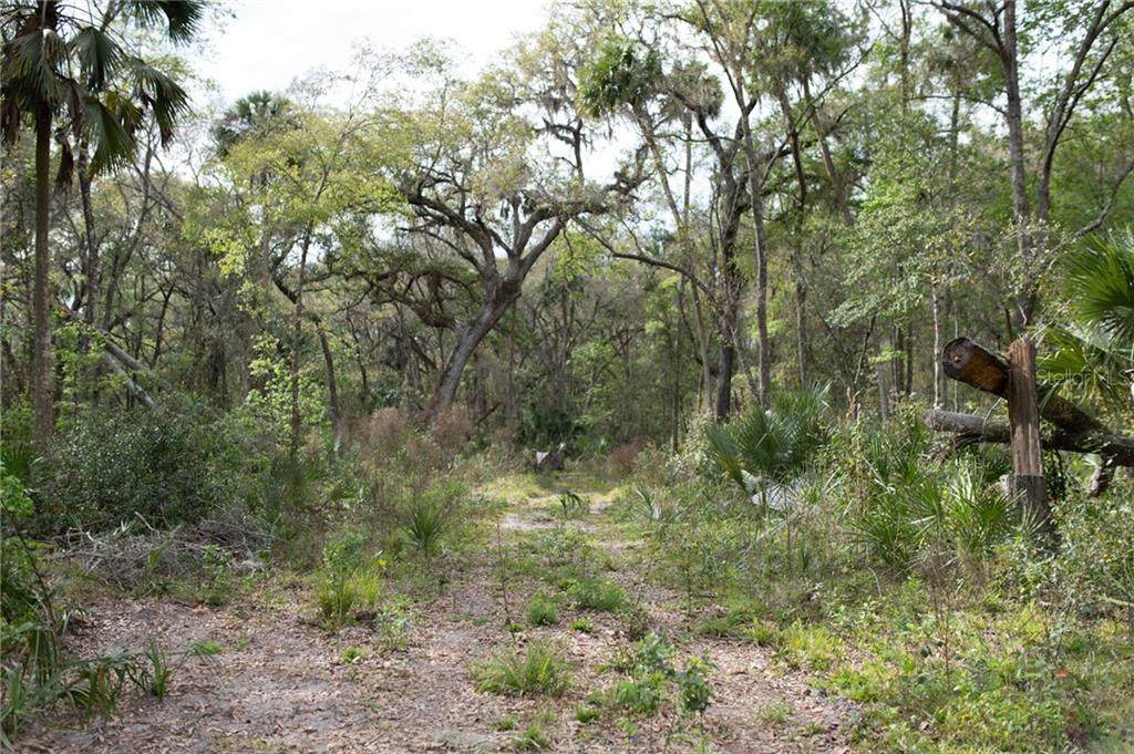 TBD Ne 58Th Ave - Photo 1