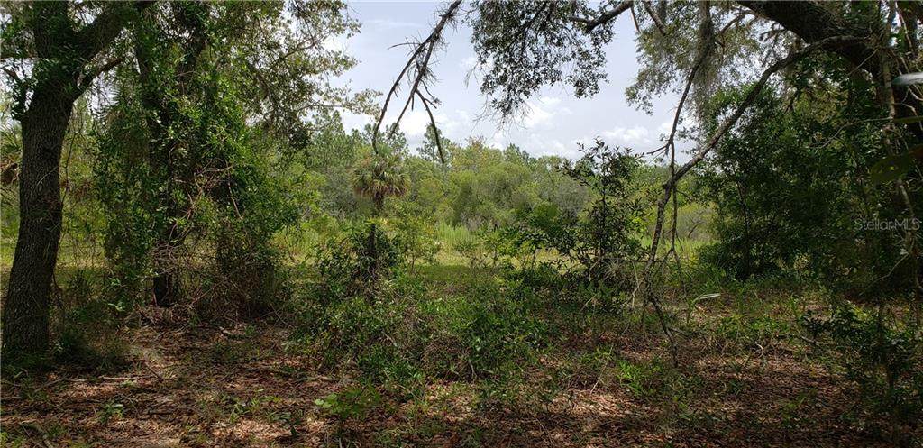 Lot 11 Alt Hwy 27 - Photo 1