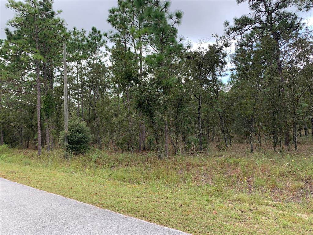 24159 Banyan Lane - Photo 1