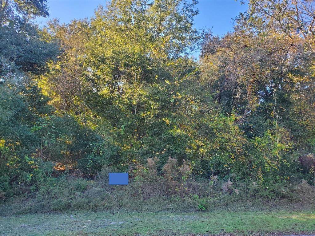 Lot 70-74 101ST Terrace - Photo 1