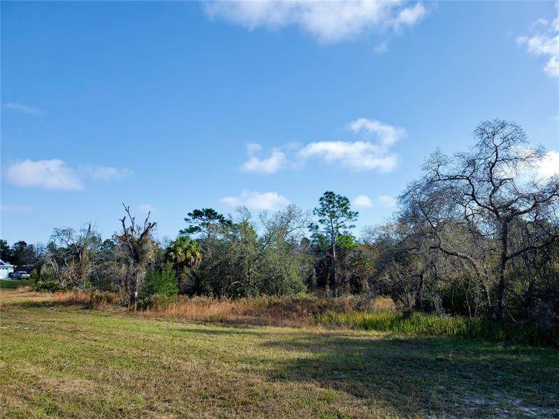 12440 Meinert Avenue - Photo 1