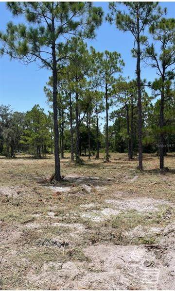 000 Mcclellan Road - Photo 1