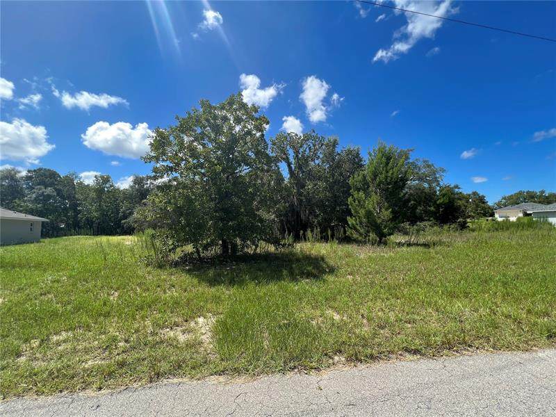 0 Sw 147Th St Road - Photo 1