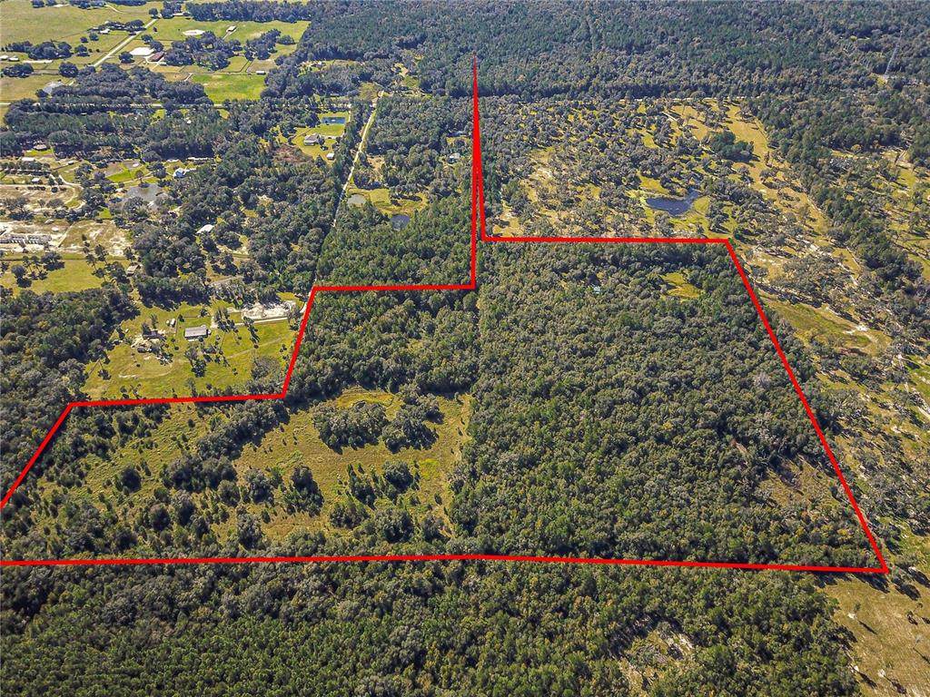 00 Hwy 316 - Photo 1