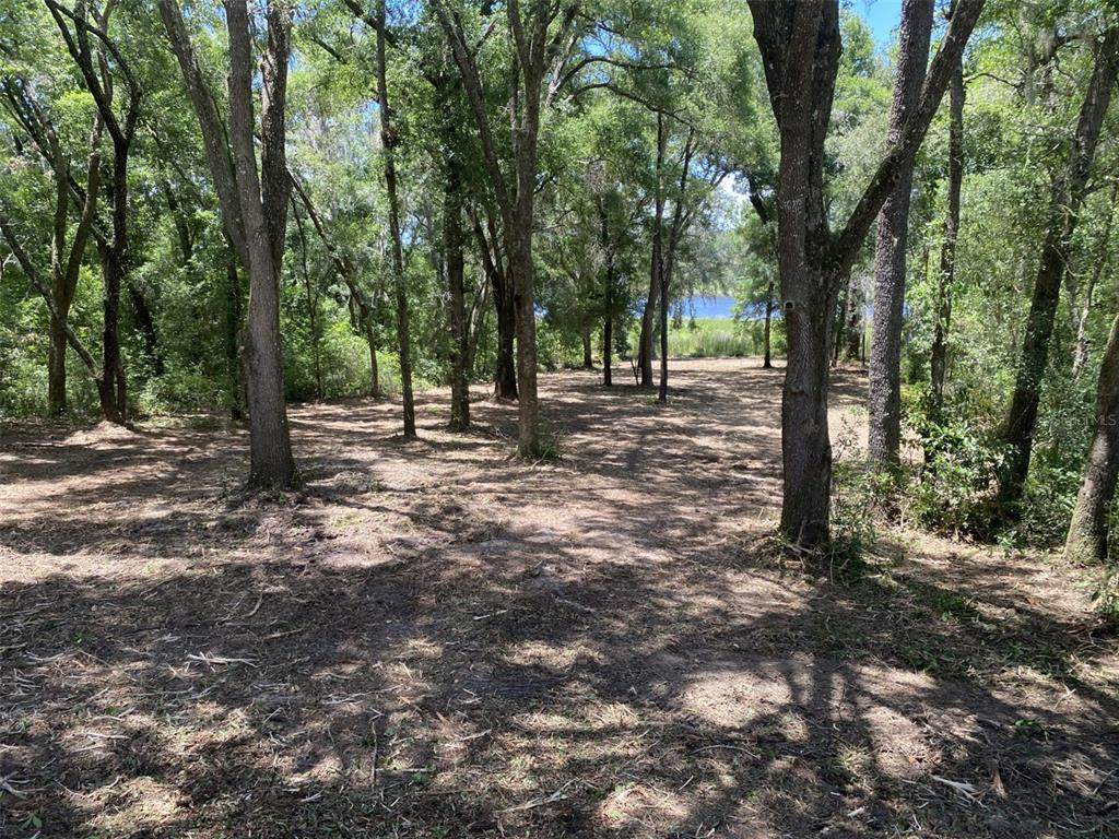 Lot 163 Shorewood Drive - Photo 1