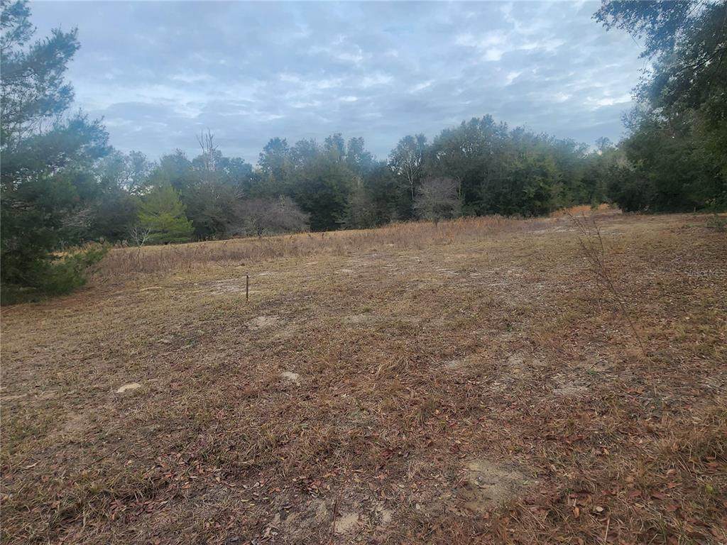 2407 Jackson Street - Photo 1