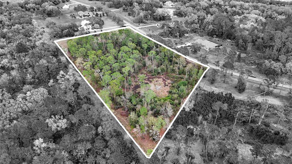 27037 Grand Oak Lane - Photo 1