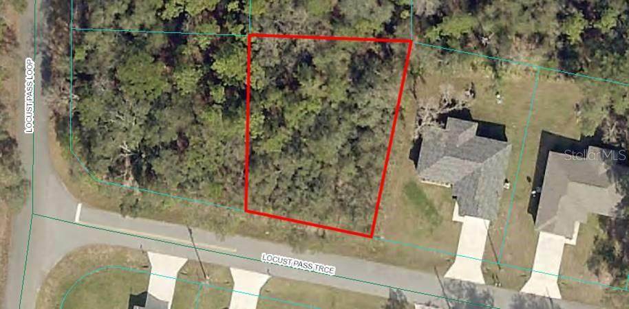 Lot 11 Locust Pass Trace - Photo 1