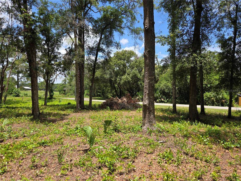 517 Croft Avenue - Photo 1