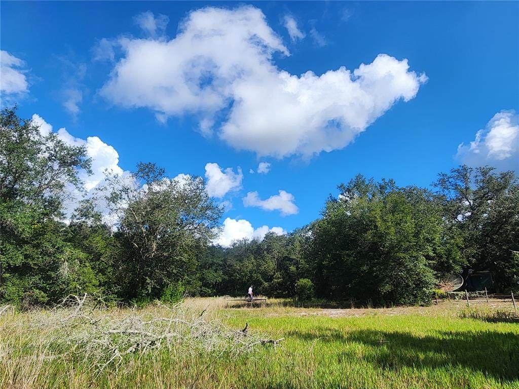 217 Lakeview Drive - Photo 1