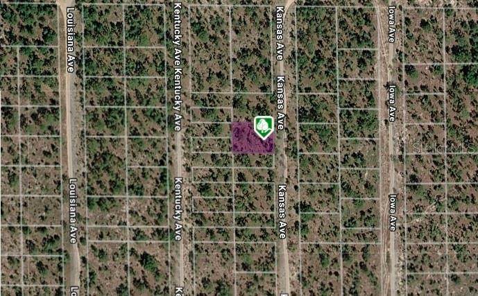 LOT 8 AND 9 Kansas Avenue - Photo 1
