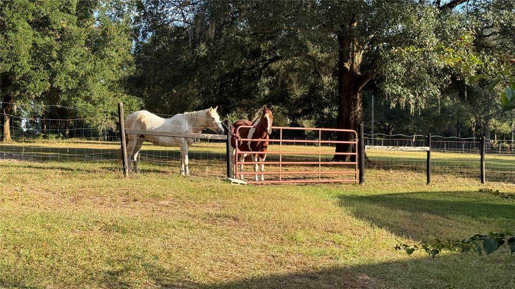 41030 Oak Grove Road - Photo 1