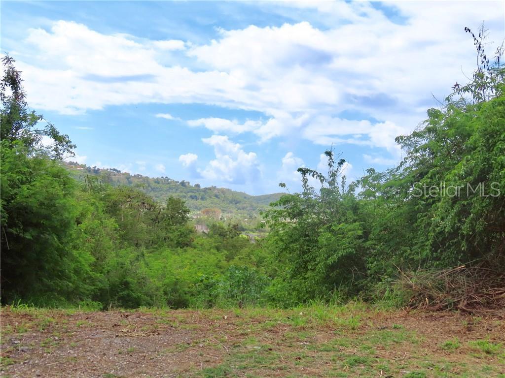 CALLE 3 LOTE 5 Urb. Hacienda San Jose - Photo 1