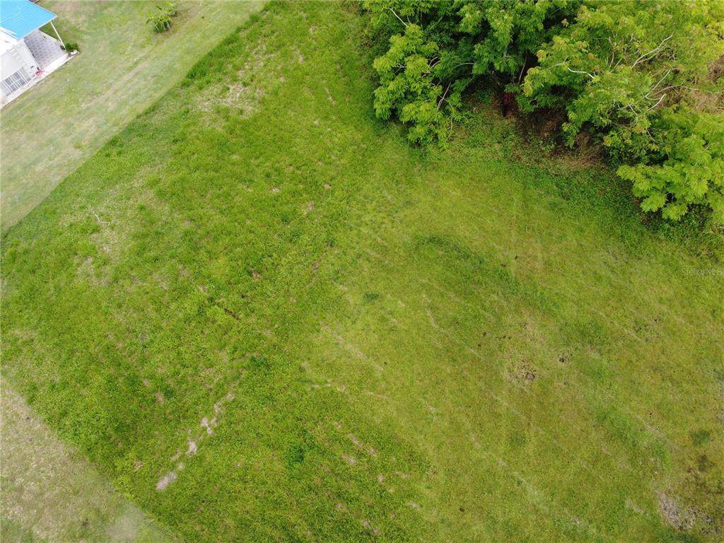  Praderas Del Yunque 26 - Photo 1