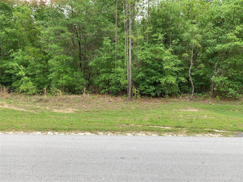 Sw 129 Terrace Road - Photo 1