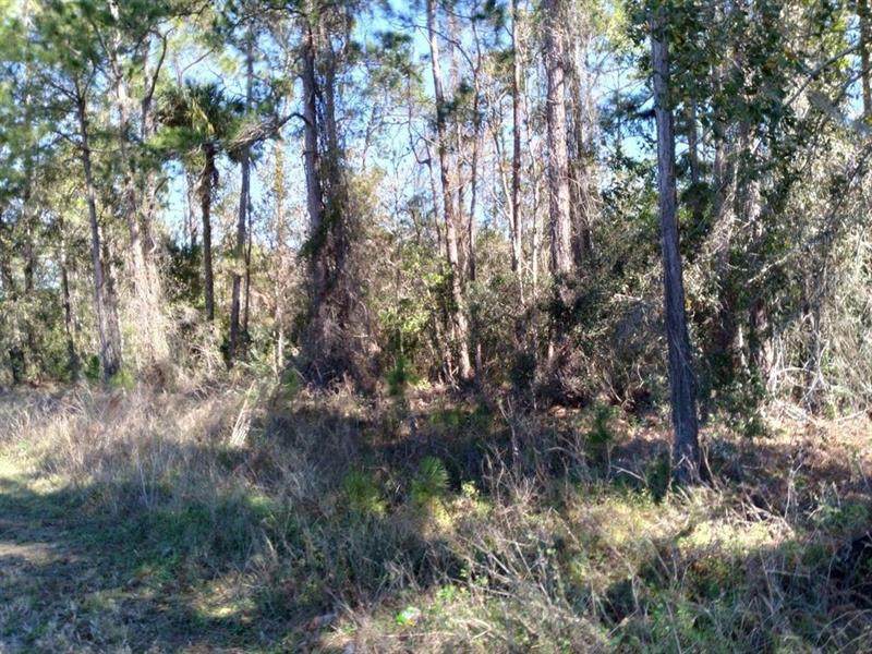 Evans Rd - Photo 1