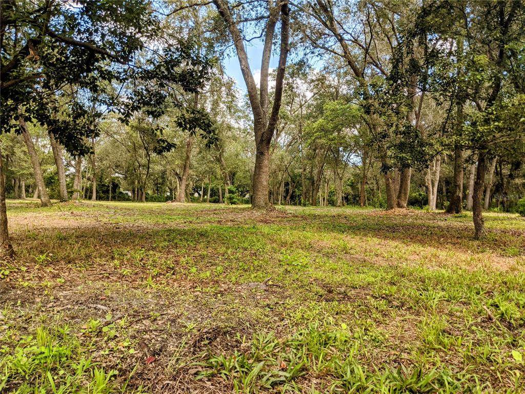 Wagon Court - Photo 1