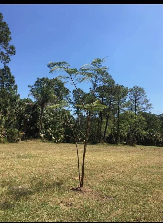 2370 Thacker Trail - Photo 1