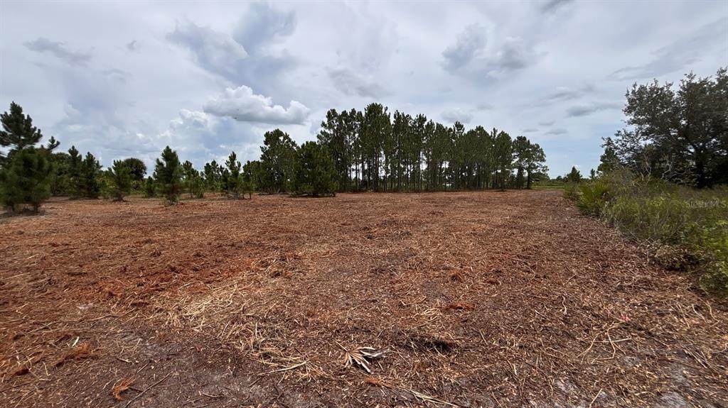 18121 304TH Street - Photo 1