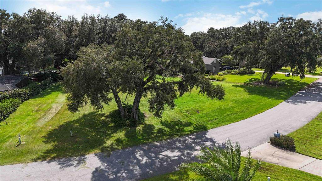 3185 Forest Breeze Way - Photo 1
