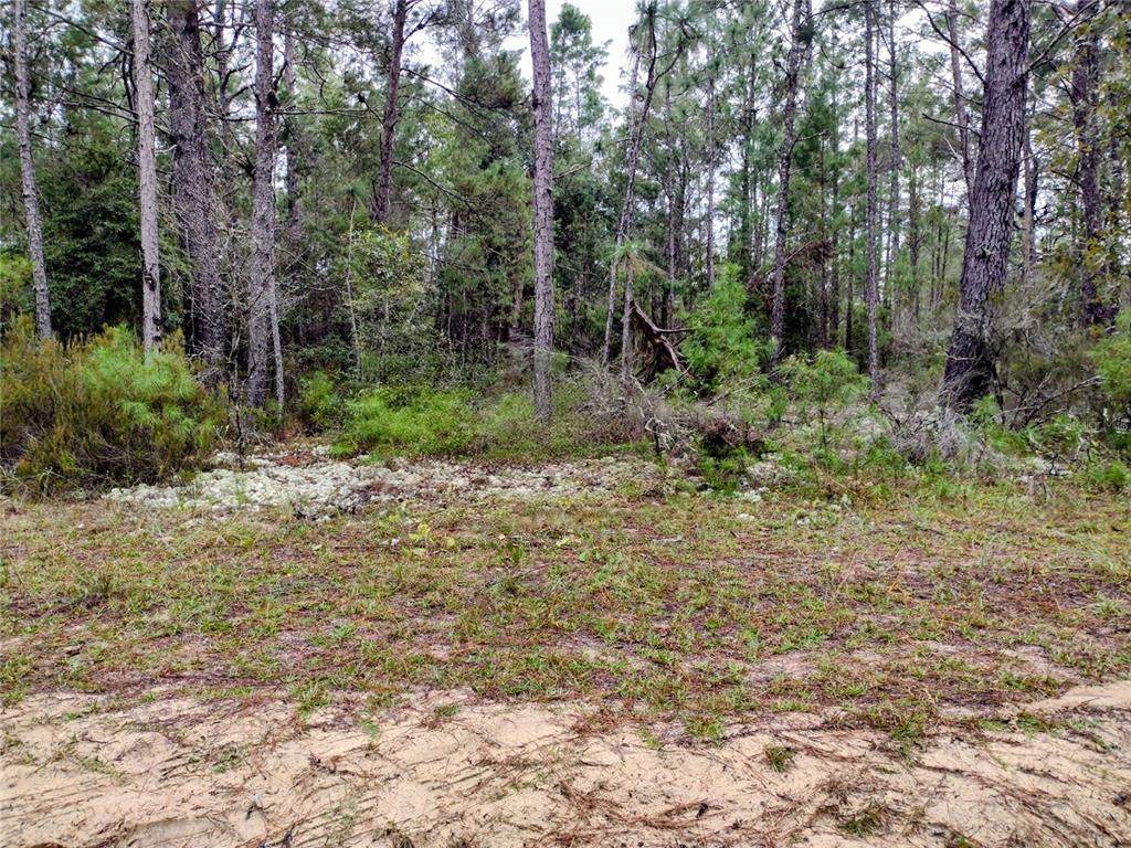 165 7TH Way - Photo 1