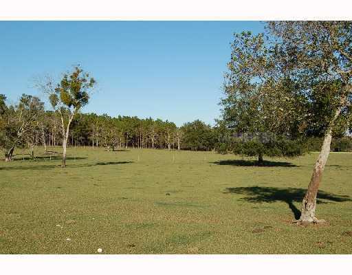Frazee Hill Lot B - Photo 1