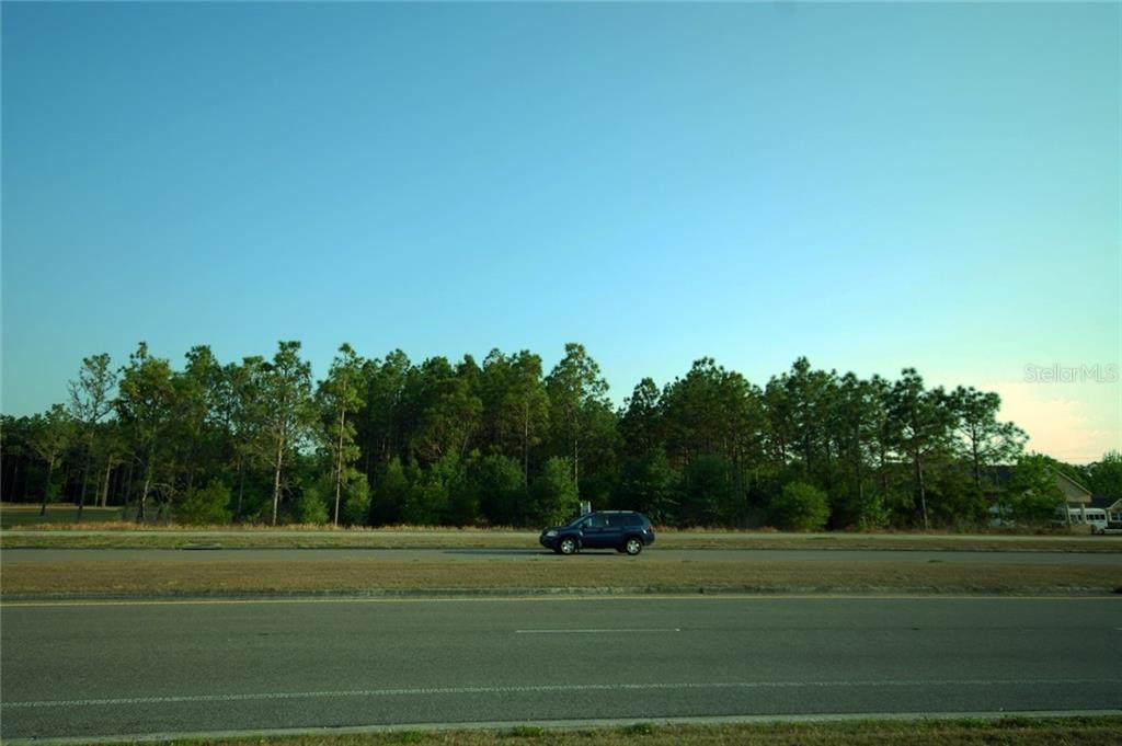 30150 Overpass Road - Photo 1