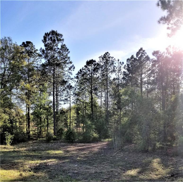 Clay Hill Road - Photo 1