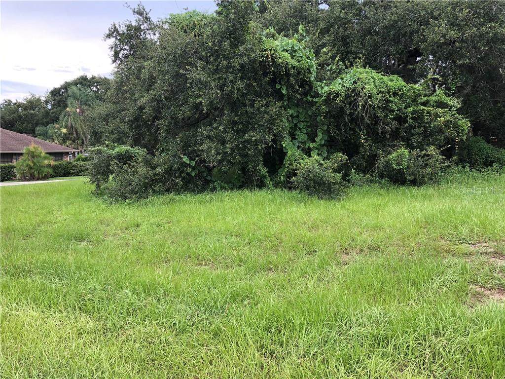 0 Westwood Dr & S. Kings Ave - Photo 1