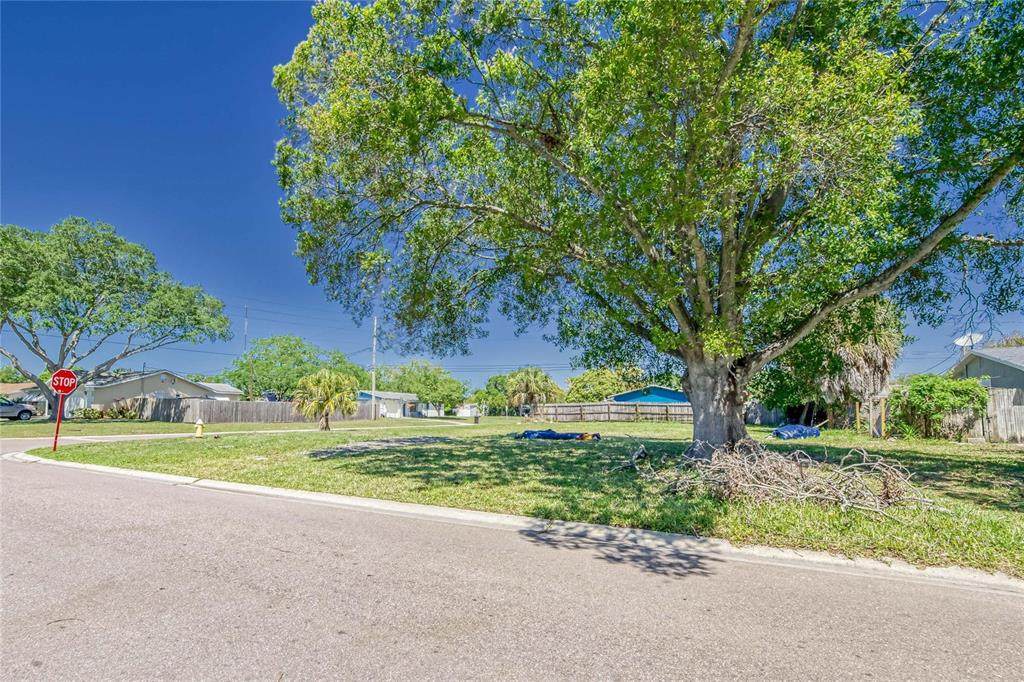 8469 78TH Avenue - Photo 1