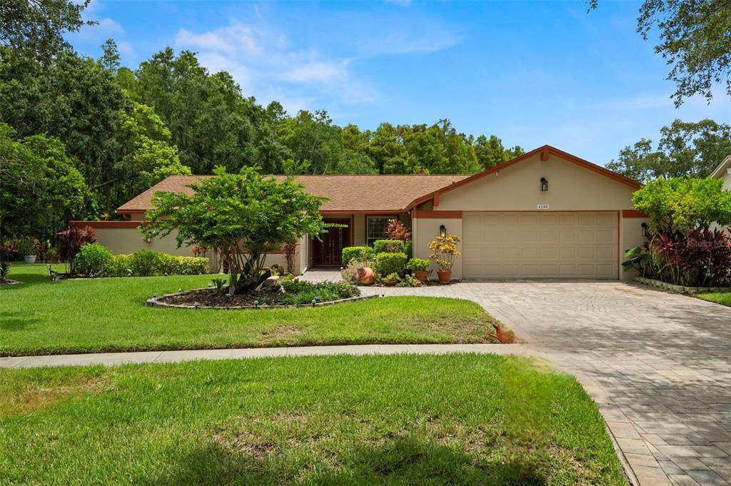 4208 Carrollwood Village Drive - Photo 1