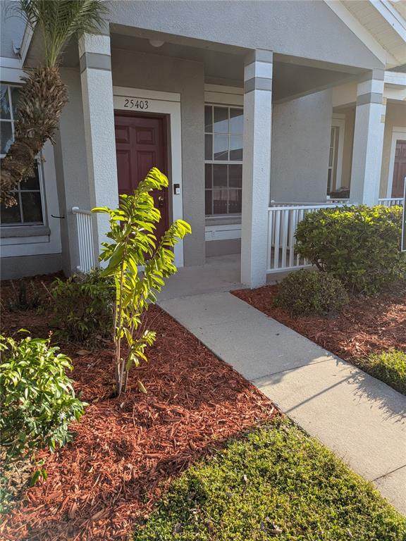 25403 Saddlehorn Way - Photo 1