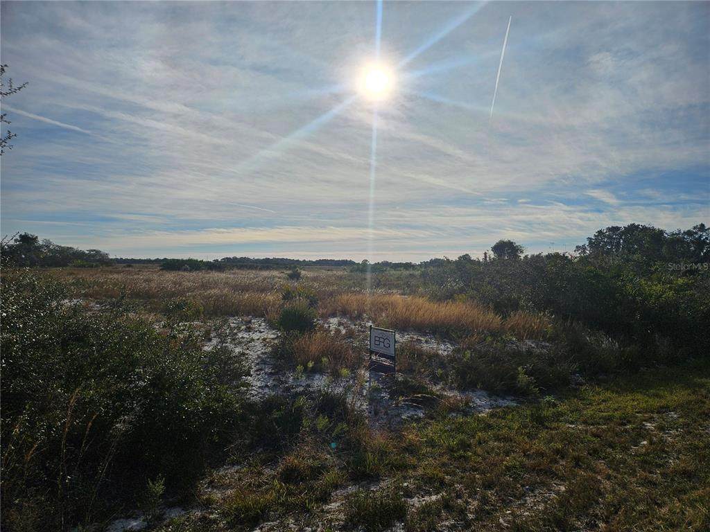 625 Reed Road - Photo 1