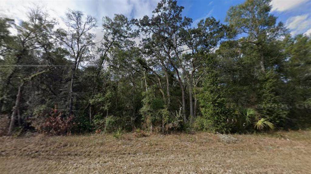  85TH Avenue - Photo 1