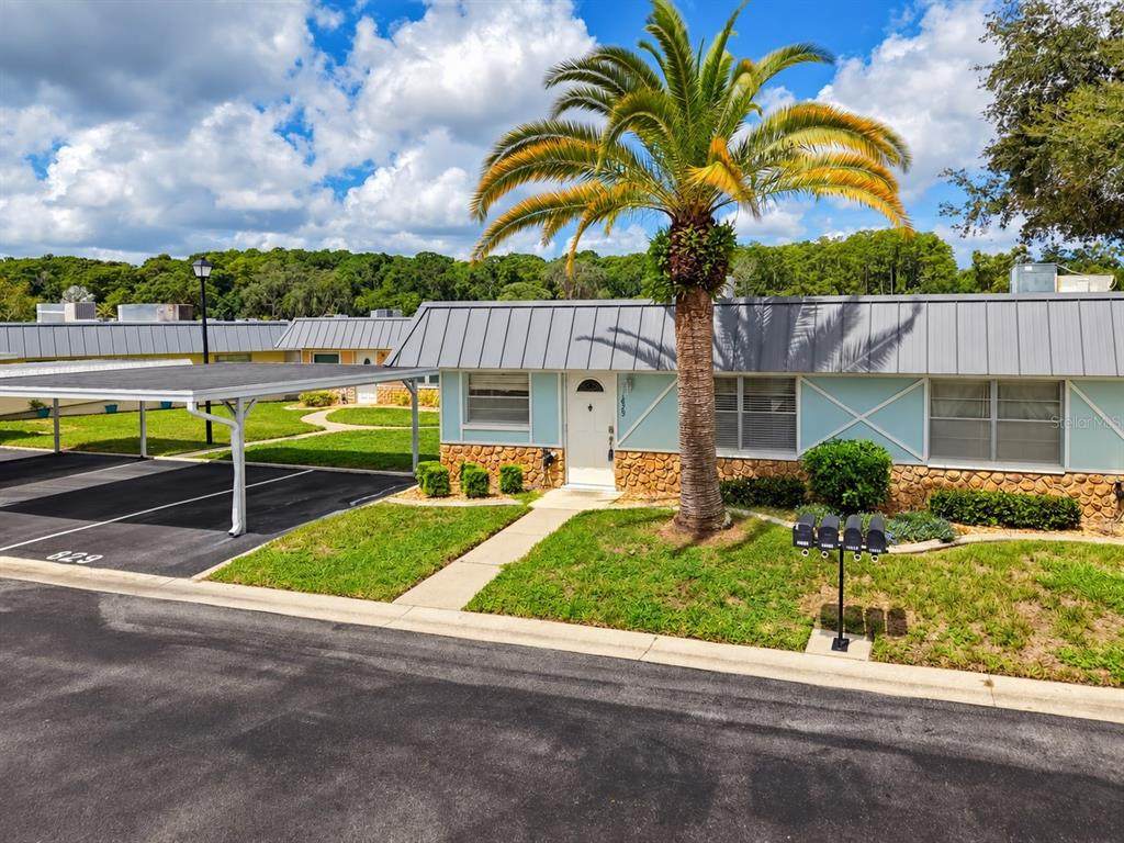 11829 Carissa Lane - Photo 1