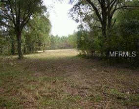 19900 Manecke Road - Photo 1