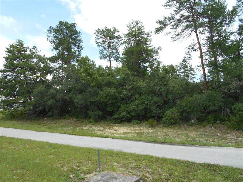 TBD Sw 35Th Avenue Road - Photo 1