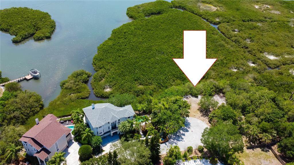  Egret Woods Circle - Photo 1