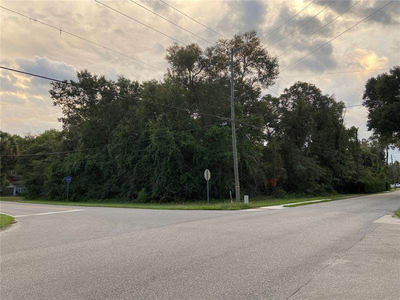 Summit Avenue - Photo 1