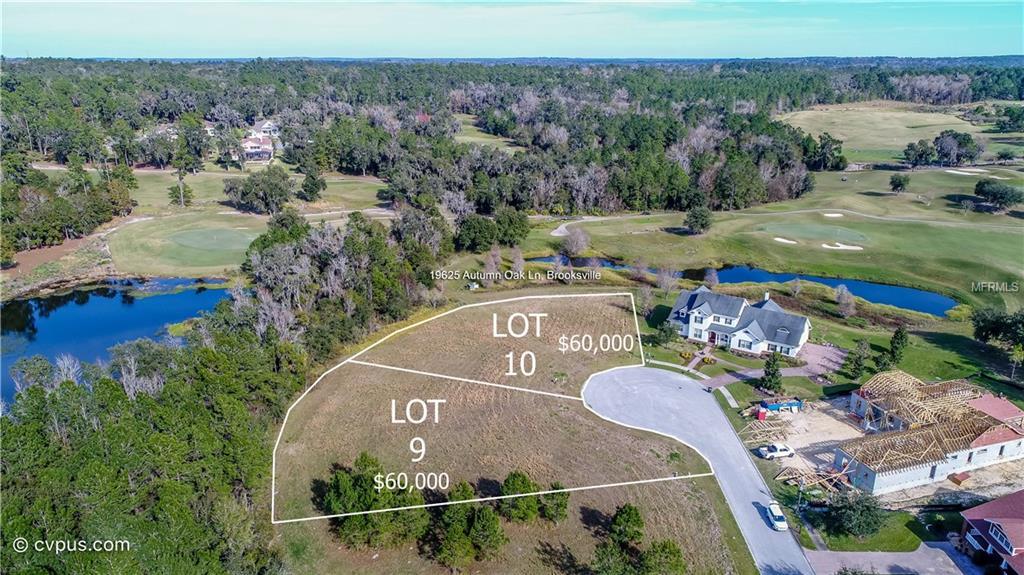 19625 Autumn Oak Lot 9 Lane - Photo 1