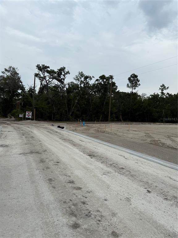 8738 Lindy Lane - Photo 1