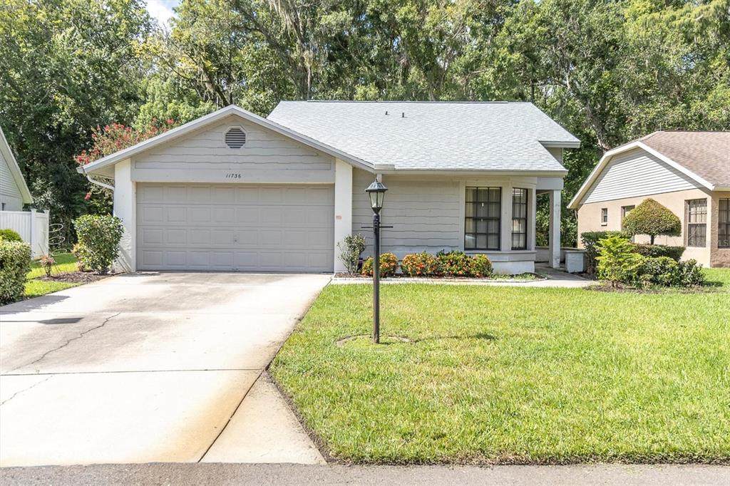 11736 White Ash Drive - Photo 1