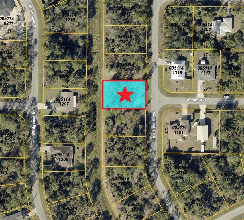 Lot 20 Sago Palm Road - Photo 1