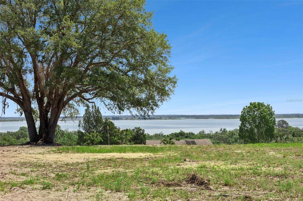 0000 Bertsville Road & Griffin View Drive - Photo 1
