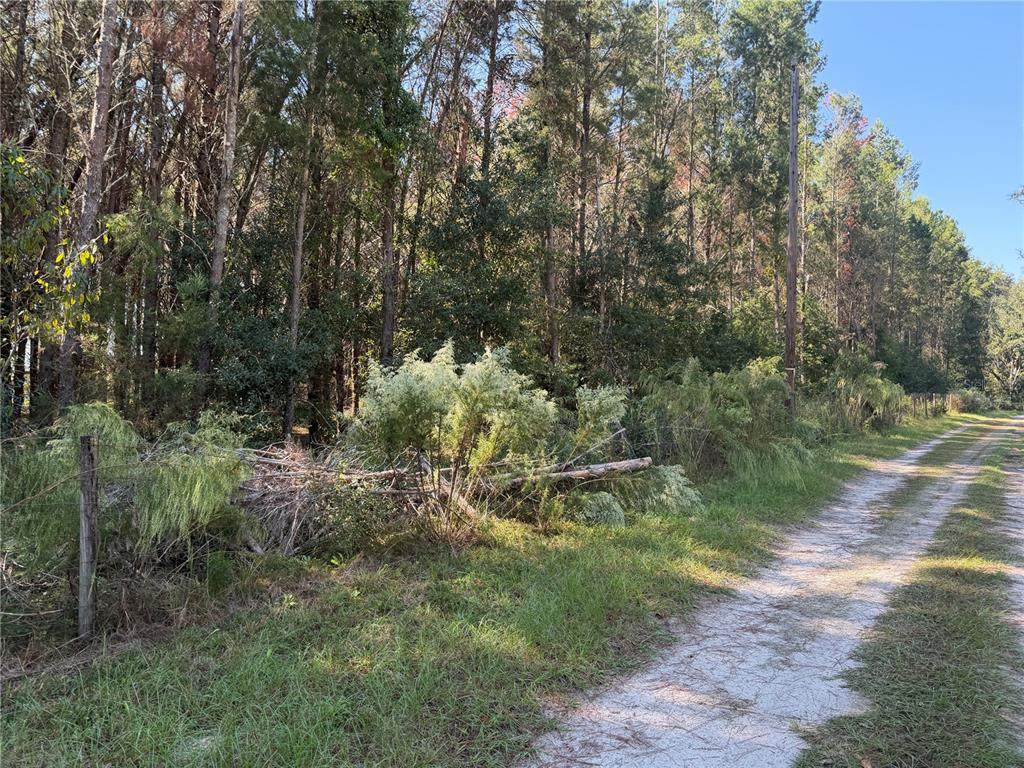 7818 State Road 45 - Photo 1