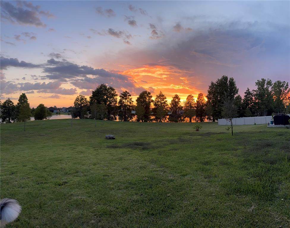 6520 Great Bear Drive - Photo 1